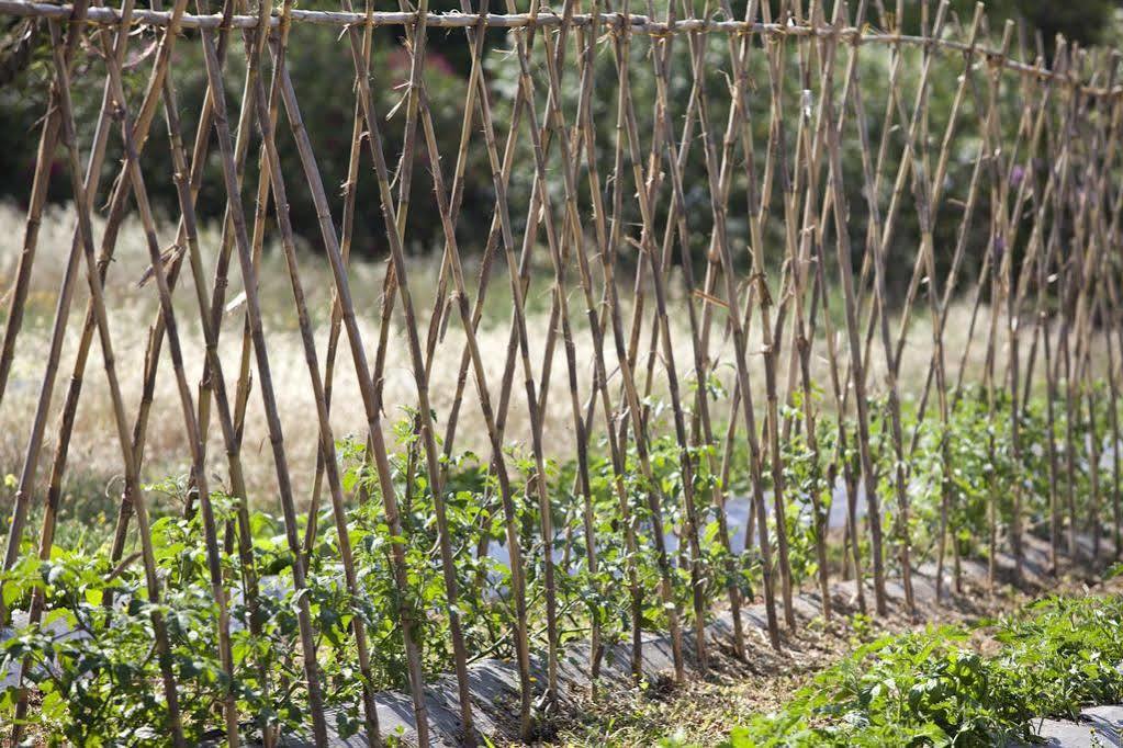 Hotel Sa Carrotja - Adults Only Ses Salines  Exterior photo